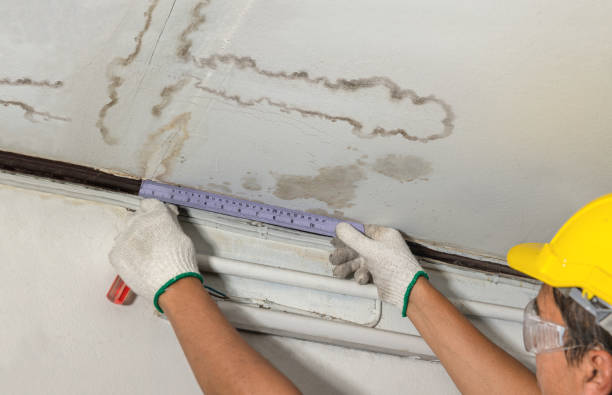 Affordable Water Damage Repair solutions in Vincent, OH